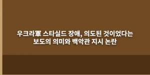 우크라軍 스타실드 장애, 의도된 것이었다는 보도의 의미와 백악관 지시 논란 대표 이미지